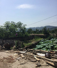 ˭˵�Ӱ�ϯ��������������ƽһ���ɻ��أ���һ��������������