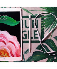 ��������iPad Pro��ֵ������