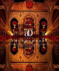 �����ĺ��ɫ�����ֳ�ȫ��KT����һ����1����Լ۱ȳ���