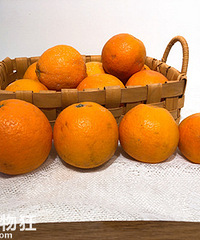 óֺÿĺȿţˮڸкã