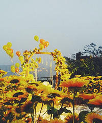 ϣ������Ƽ�һ���ʺ����ĵط�����Ÿ�ͼƬ������͵�