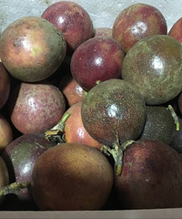 29Ԫ��45���������ʵİ�������ڼ������Ŷ�����������Ʒ