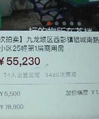 男子在网上花5万多竞拍了个厕所