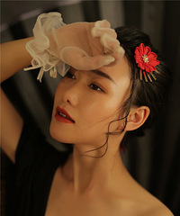 �������д��һ���ĸ�����5�鲻ͬ�ķ��ÿ�������ʺ���