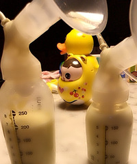 ĸ��ι���˰˸��£��Ϲ�������Խ��Խ�ݺ��Ҹ��޶����̣��þ���