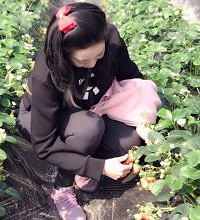 摘草莓才是春天的正确打开方式