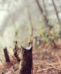 ����Բ���ҵĵ����Σ��а�������ȫ��ˣ�µ����ܻ��أ�