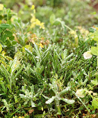 ����Բ���ҵĵ����Σ��а�������ȫ��ˣ�µ����ܻ��أ�