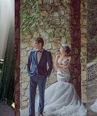 ��һ�ɴ�껹�ܶ��ƻ�ɴ�գ����Ҷ��Ƶĺ�ʯ��԰�⾰�վ�������Ȧ