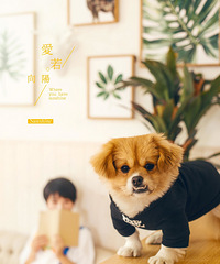 ŹһĻɴգÿһ֡Ƭů