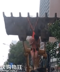 �ּ����֣����ɱ��ǹ���ھ���ϣ����˻�Χ�����գ���ֱ���۾���