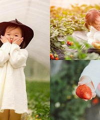 走西永摘草莓,春光无限好
