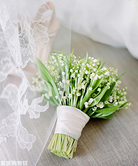 ������������������ռ�������ǻ��һ���İ�ɫС��