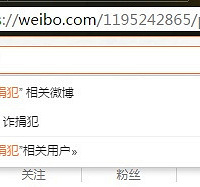 “诈捐犯”竟和刘亦菲在一起?