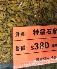 香港遭遇卖药骗局?要价一万多