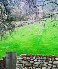 �������֥����Ҫֱ���һ�Ӵ��