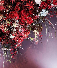 ��������50��������´ǣ��ܽ�����6��С��ʿ��