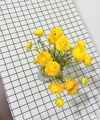 潜水这么久第一次发帖,就教大家怎么制作干花吧