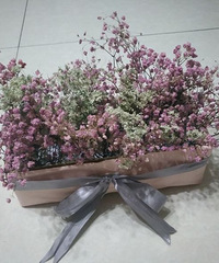 废物利用,一个鞋盒改造的漂亮小花栏!