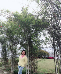 85年身高158的妹子征婚,有稳定工作,顾家有责任心