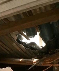 þţ콵һԤư壬ϰһ¥Ҵ