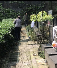 ŮɨĹ԰12꣬տʼŵޣԭΪʲô