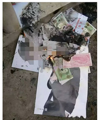 杨洋清明被烧纸!全职高手粉丝偏激激怒网友