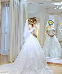 ʷ�������ɴ����ǵ�һ�Ҿ��µ����²������ѡ�����ļ���