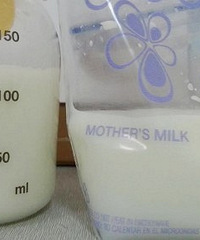 ������������һ��ų�600��������ι�Ļ���ȫ��������Ҫ�̳�