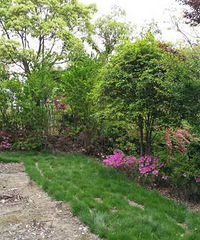 ֻ˼䣬ӻߵɣ300ƽ԰