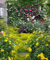 ֲִֻ磬԰һʰѾֻĵز