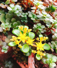 ���ݿ���Ҳ����������̨����ˮ�ͻ�ı�����ò����