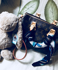 新入的speedy25,丝巾搭包包更好看【买到最值得的好物】