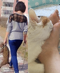 ĳ޳ܵʲôزҪЦſ......