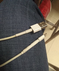 ���������ߵ�������ֻҪ10��Ǯ��������һ���ٶ���һ�겻���Σ�