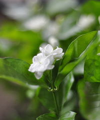 һ˶ֲһС̨ʻ⡢߲һӦȫ