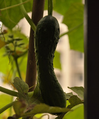 һ˶ֲһС̨ʻ⡢߲һӦȫ