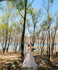 ɴҲҪģ26꣬оԼһΣ