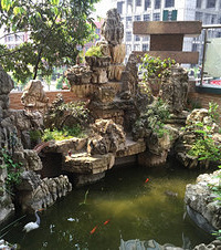 吃货的后花园,假山凉亭种花种菜,还能聚餐打麻将