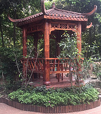 吃货的后花园,假山凉亭种花种菜,还能聚餐打麻将