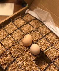 ��������������������ô���ˣ������Ǻþ�û������ˡ���