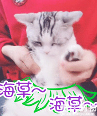 为啥子现在嫩个多年轻妹儿单身诶