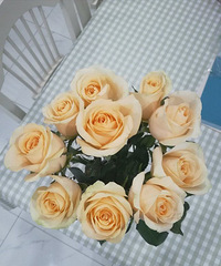 重庆鲜花也论斤卖了!!!