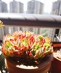 ɹɹȵĶ⣬߲״̬ȷʵ