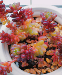 ɹɹȵĶ⣬߲״̬ȷʵ