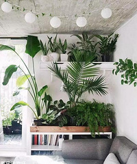 �������������������ô���������5�׷���