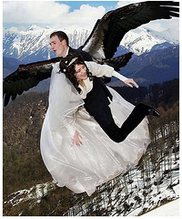 ս������Ļ����գ�ֻ�����벻���ģ�û��������������