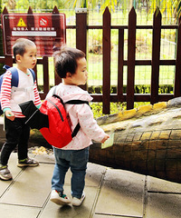 ����ݿɲ�ֹ�����㣬���޶�ȥ�����ι���ӿ���ȸˣ�ĺÿ��ģ�