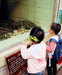 ����ݿɲ�ֹ�����㣬���޶�ȥ�����ι���ӿ���ȸˣ�ĺÿ��ģ�