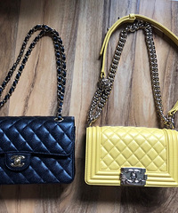 ���ζ������������𣿳�����ô��С���¿�²�����������ĸ�